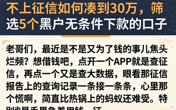 不上征信如何凑到30万，筛选5个黑户无条件下款的口子