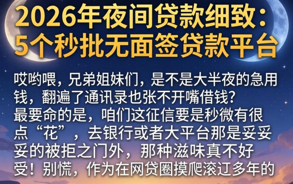 2026年夜间贷款，细致阐述5个秒批无面签贷款平台