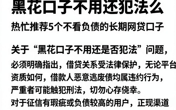 黑花口子不用还犯法么，热忱推荐5个不看负债的长期网贷口子
