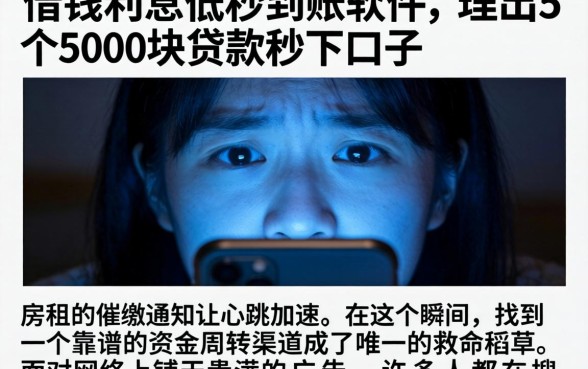 借钱利息低秒到账的软件,理出5个5000块贷款秒下口子