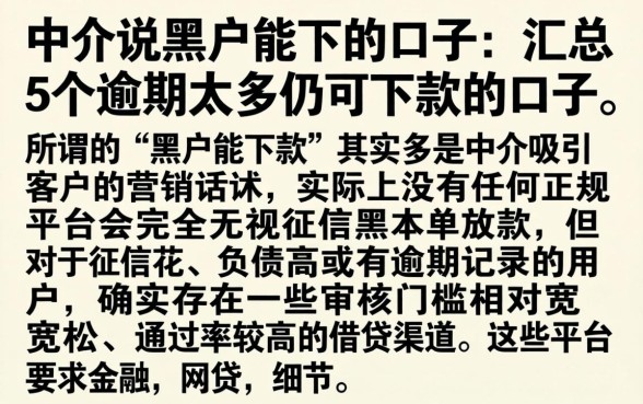 中介说黑户能下的口子，汇总5个逾期太多仍可下款的口子