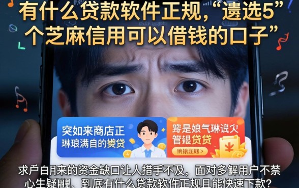 有什么贷款软件正规，遴选5个芝麻信用可以借钱的口子