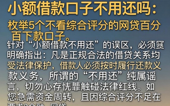 小额借款口子不用还吗,枚举5个不看综合评分的网贷百分百下款口子