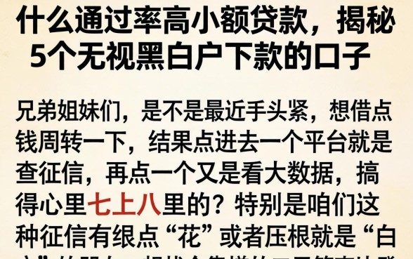 什么通过率高小额贷款，揭秘5个无视黑白户下款的口子