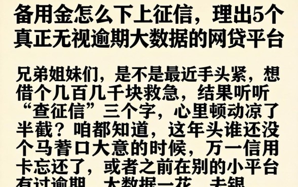 备用金怎么不上征信，理出5个真正无视逾期大数据的网贷平台
