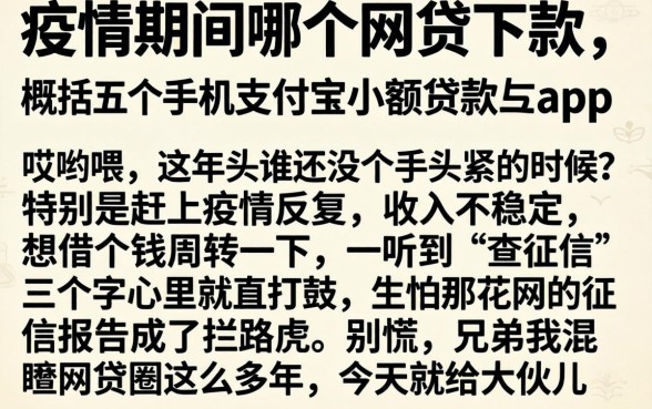 疫情期间哪个网贷下款,概括五个手机支付宝小额贷款的app