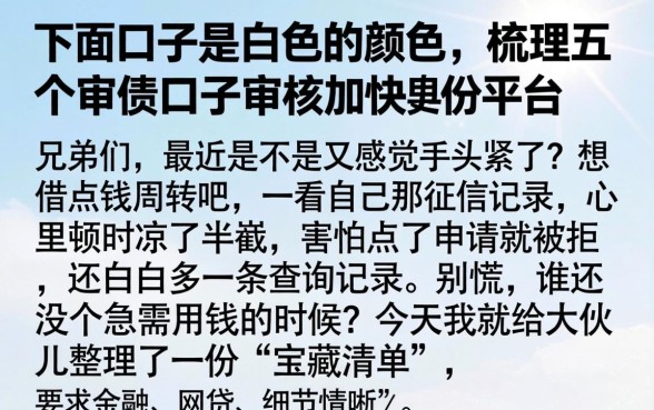 下面口子是白色的颜色，梳理五个审贷口子审核加快的平台