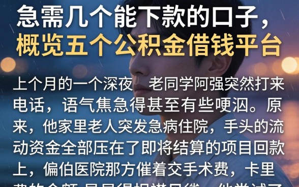 急需几个能下款的口子,概览五个公积金借钱平台