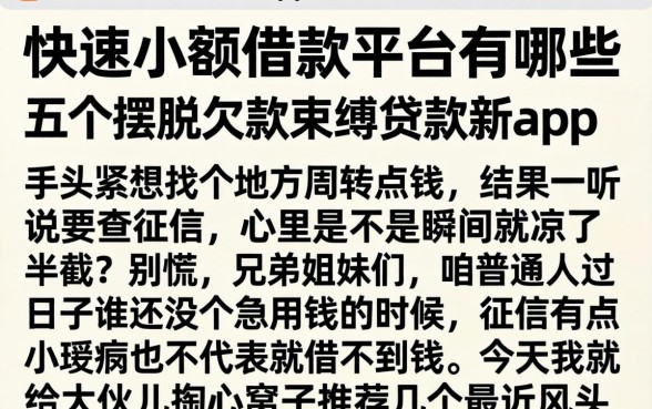 快速小额借款平台有哪些,详尽说明五个摆脱欠款束缚贷款新app