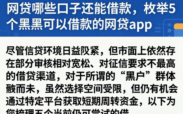 网贷哪些口子还能借款,枚举5个黑户可以借款的网贷app