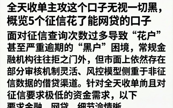 全天收单主攻这个口子无视一切黑，概览5个征信花了能网贷的口子