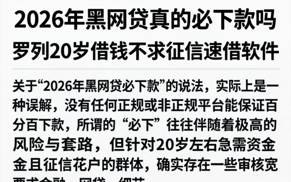 2026年黑网贷真的必下款吗，罗列五个20岁借钱不求征信速借软件