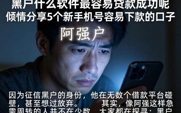 黑户什么软件最容易贷款成功呢，倾情分享5个新手机号容易下款的口子