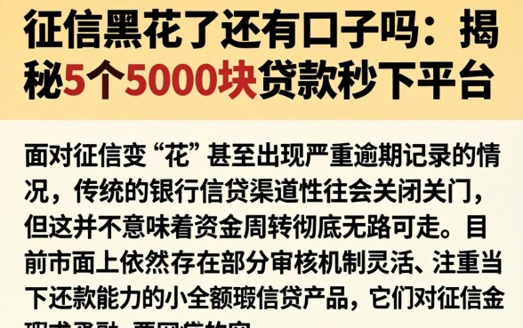 征信黑花了还有口子吗,揭秘5个5000块贷款秒下平台