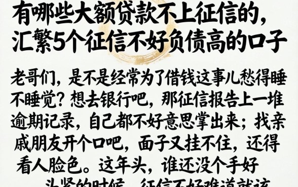 有哪些大额贷款不上征信的，汇整5个征信不好负债高的口子