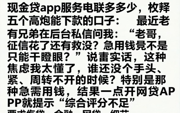现金贷app服务电联是多少，枚举五个高炮能下款的口子