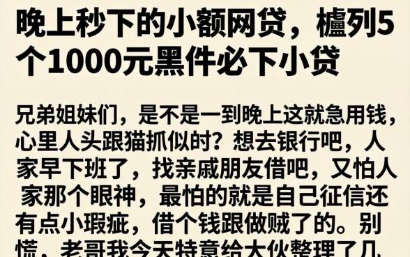 晚上秒下的小额网贷，胪列5个1000元黑户必下小贷