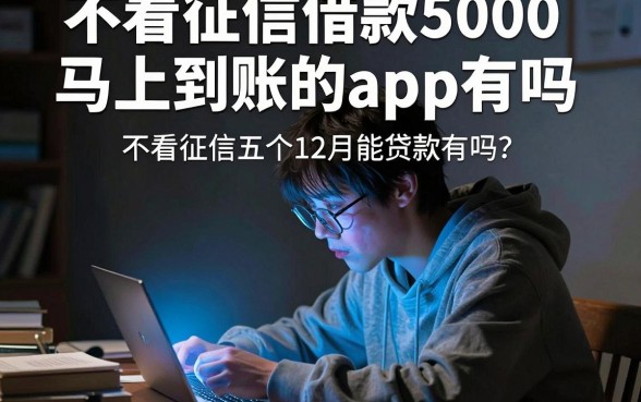 不看征信借款5000马上到账的app有吗,热忱推荐五个12月能贷款的平台