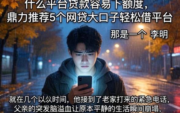 什么平台贷款容易下额度，鼎力推荐5个网贷大口子轻松借平台