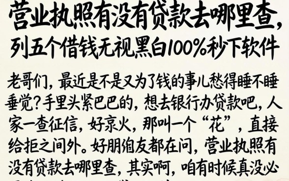 营业执照有没有贷款去哪里查，条列五个借钱无视黑白100%秒下软件