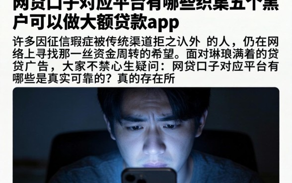 网贷口子对应平台有哪些，归集五个黑户可以做大额贷款app
