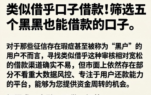 类似借乎的口子借款，筛选五个黑户也能借款的口子