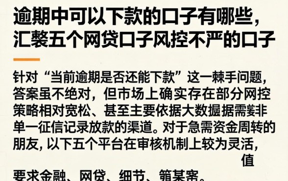 逾期中可以下款的口子有哪些,汇整五个网贷口子风控不严的口子