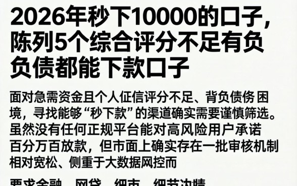 2026年秒下10000的口子，陈列5个综合评分不足有负债都能下款口子