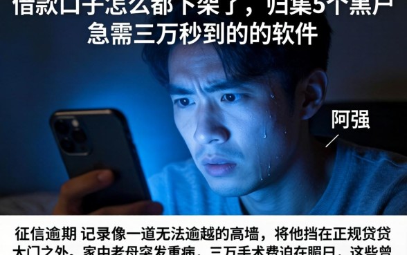 借款口子怎么都下架了，归集5个黑户急需三万秒到的的软件