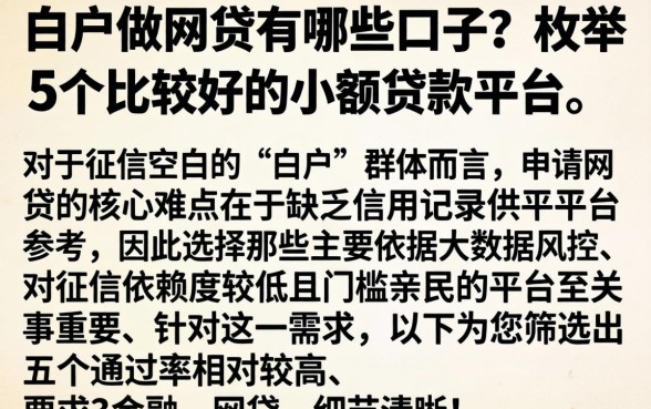 白户做网贷有哪些口子，枚举5个比较好的小额贷款平台