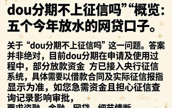 dou分期不上征信吗，概览五个今年放水的网贷口子