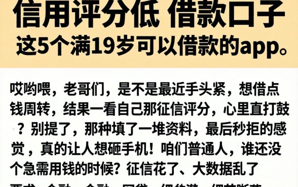 信用评分低的借款口子,细致阐述5个满19岁可以借款的app
