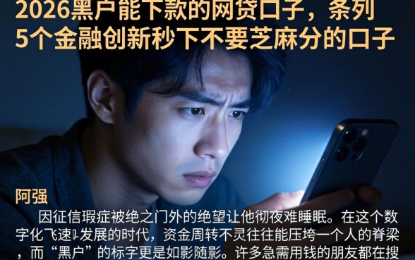 2026黑户能下款的网贷口子，条列5个金融创新秒下不要芝麻分的口子