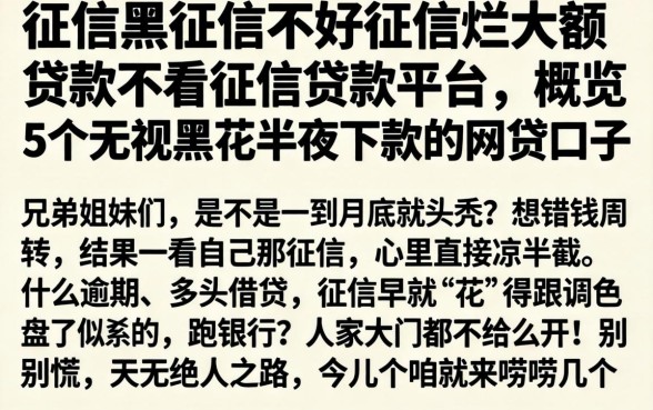 征信黑征信不好征信烂大额贷款不看征信贷款平台，概览5个无视黑花半夜下款的网贷口子