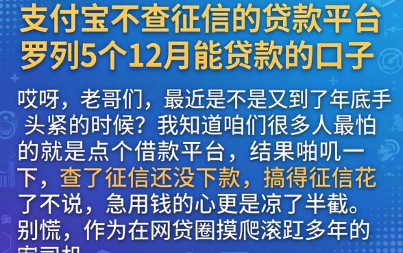 支付宝不查征信的贷款平台，罗列5个12月能贷款的口子