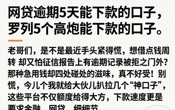 网贷逾期5天能下款的口子，罗列5个高炮能下款的口子