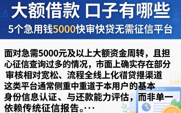 大额借款的口子有哪些，概括5个急用钱5000快审快贷无需征信平台