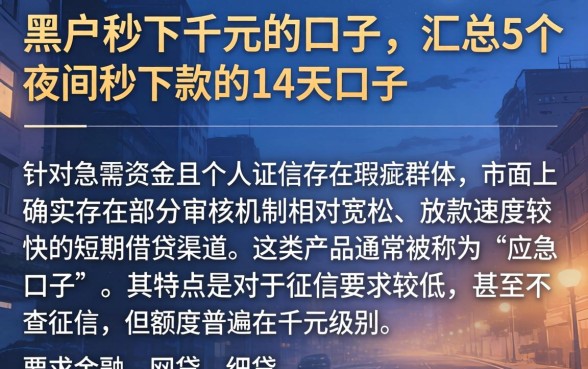 黑户秒下千元的口子，汇总5个夜间秒下款的14天口子