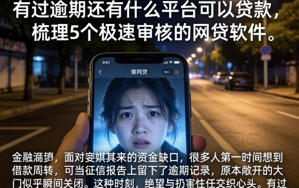 有过逾期还有什么平台可以贷款，梳理5个极速审核的网贷软件