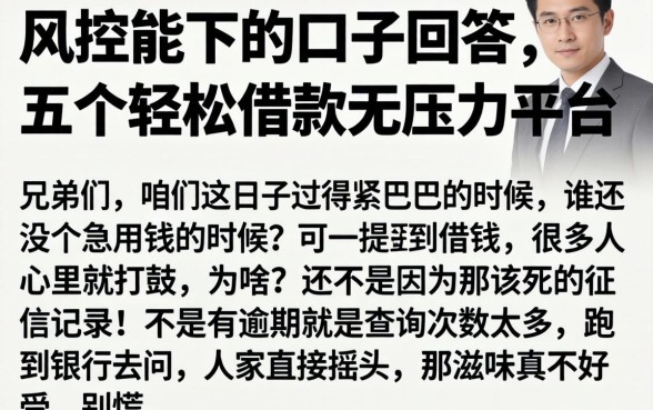 风控能下的口子回答，详尽说明五个轻松借款无压力平台