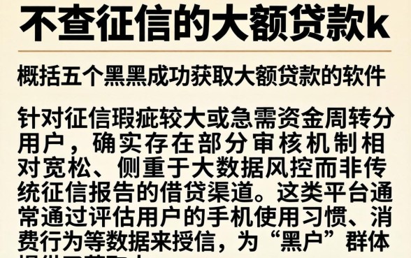 不查征信的大额贷款k，概括五个黑户成功获取大额贷款的软件