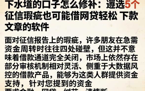 下水道的口子怎么修补,遴选5个征信瑕疵也能借网贷轻松下款的软件