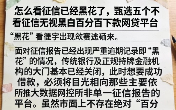 怎么看征信已经黑花了,甄选五个不看征信无视黑白百分百下款网贷平台