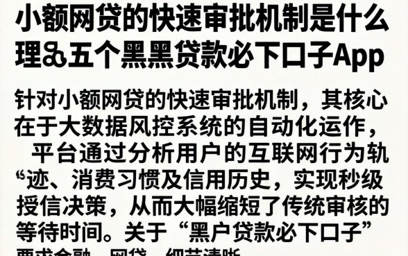 小额网贷的快速审批机制是什么,理出五个黑户贷款必下口子app
