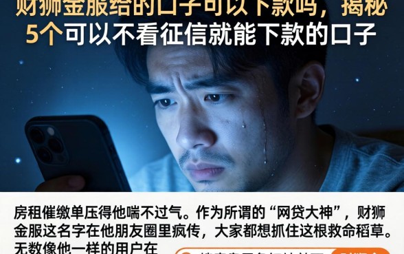 财狮金服给的口子可以下款吗，揭秘5个可以不看征信就能下款的口子