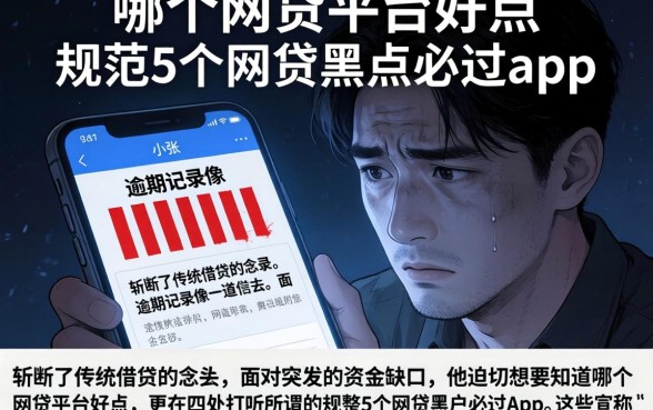 哪个网贷平台好点，规整5个网贷黑户必过app