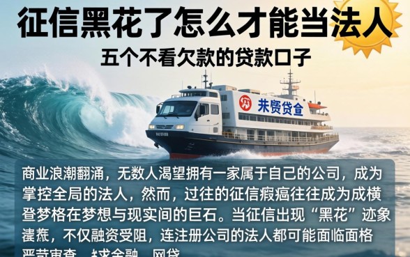 征信黑花了怎么才能当法人，概括五个不看欠款的贷款口子