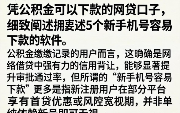 凭公积金可以下款的网贷口子，细致阐述5个新手机号容易下款的软件
