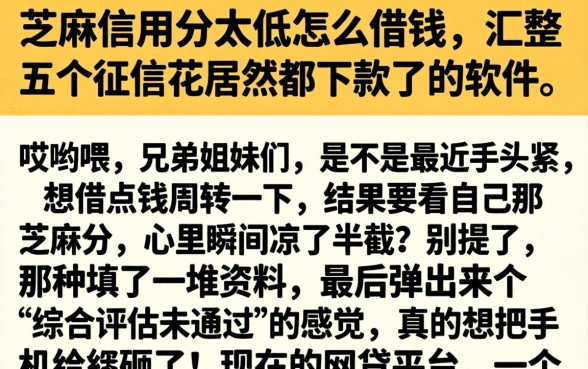 芝麻信用分太低怎么借钱，汇整五个征信花居然都下款了的软件