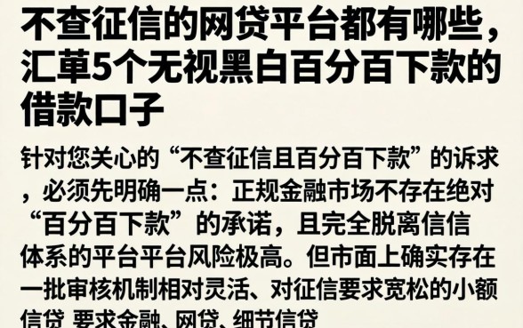 不查征信的网贷平台都有哪些，汇整5个无视黑白百分百下款的借款口子